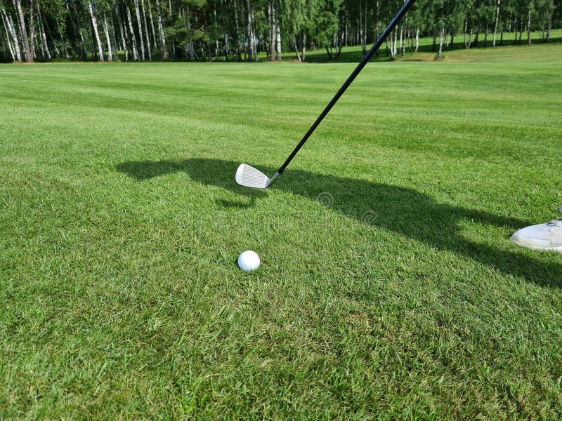 Hitting Golf Ball on Field with Golf Club Stock Image Image of club