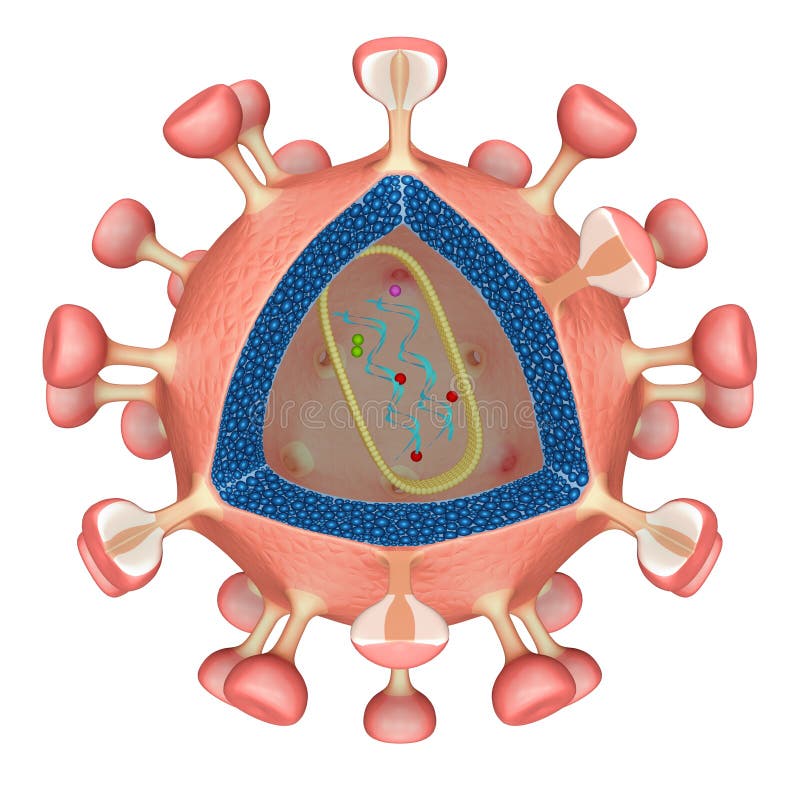 Hiv-Virus vektor abbildung Hiv-Virus vektor abbildung