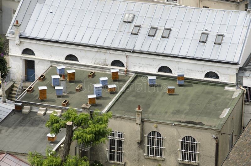 Hive in the city royalty free stock images Hive in the city royalty free stock images