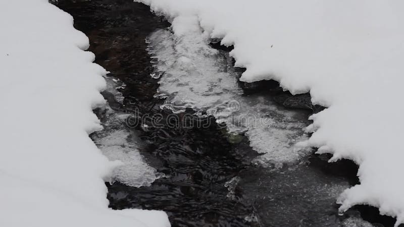 Hiver forêt ruisseau eau douce propre sur la glace clips vidéos