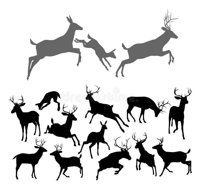 Hjortkonturer stock illustrationer