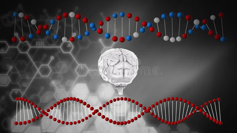Hjärn- och DNAtrådar