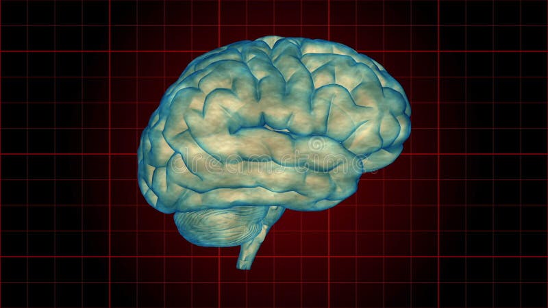 Hjärna 1008 : en mänsklig hjärna roterar på en rutnätsbakgrund