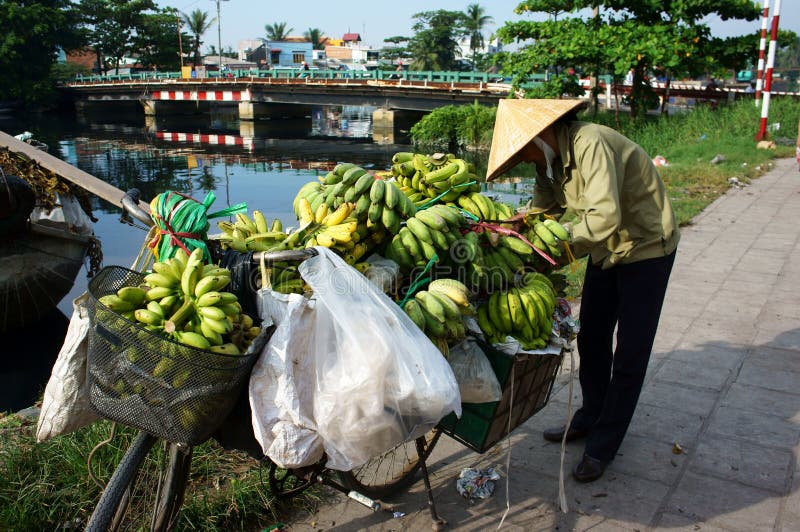 Vietnamese woman pack bunch of bananas, transport by bicycle, mobile fruits shop, street vendor stock image Vietnamese woman pack bunch of bananas, transport by bicycle, mobile fruits shop, street vendor stock image