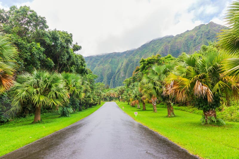 Ho Omaluhia Botanical Garden In Oahu Hawaii Stock Photo Image