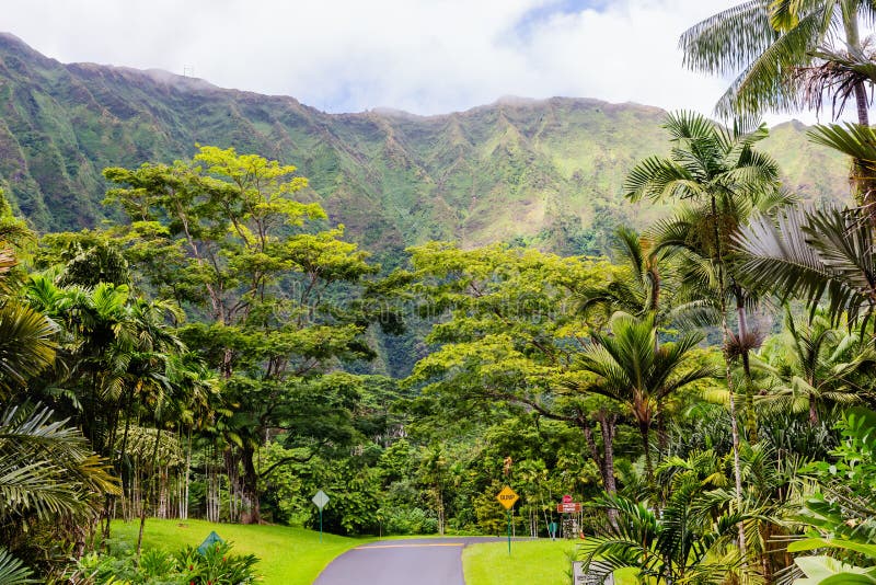 Hoomaluhia Botanical Garden Photos Free Royalty Free Stock Photos From Dreamstime