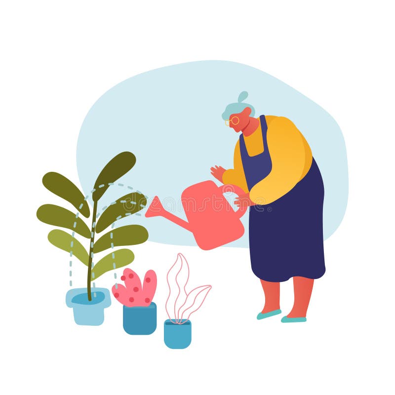 Hobby pentru grădinărit. personaj feminin, cu părul gri, în șorț, având grijă de plantele de origine în ghivece stock illustration