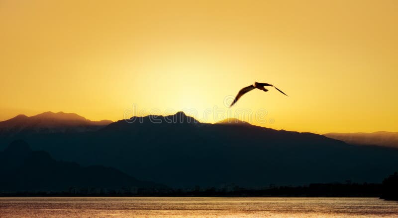 Hochgebirge und Vogel über Sonnenunterganghimmel stockfoto Hochgebirge und Vogel über Sonnenunterganghimmel stockfoto