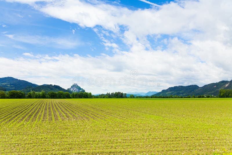 Hochosterwitz fields around the castle area, spring, Austria