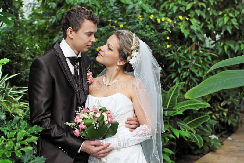 The newlyweds are embraced on a background of green leaves. The newlyweds are embraced on a background of green leaves