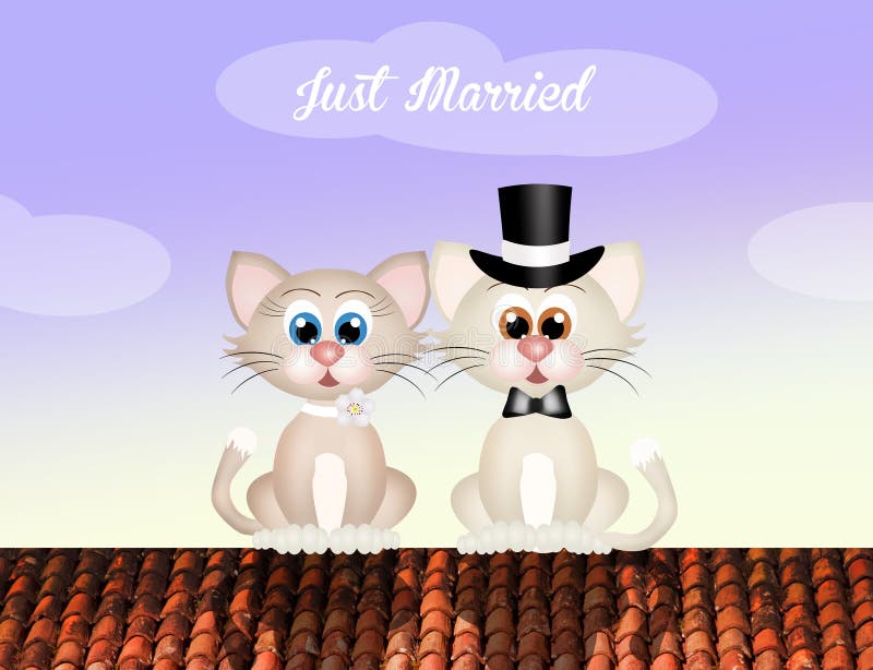 Zwei Katzen in Der Liebe in Der Wiese Stockfoto Bild von liebe, mann