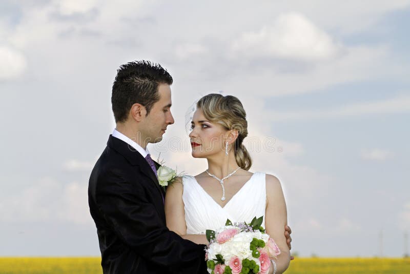 Hochzeitspaare auf dem Feld lizenzfreie stockfotografie Hochzeitspaare auf dem Feld lizenzfreie stockfotografie