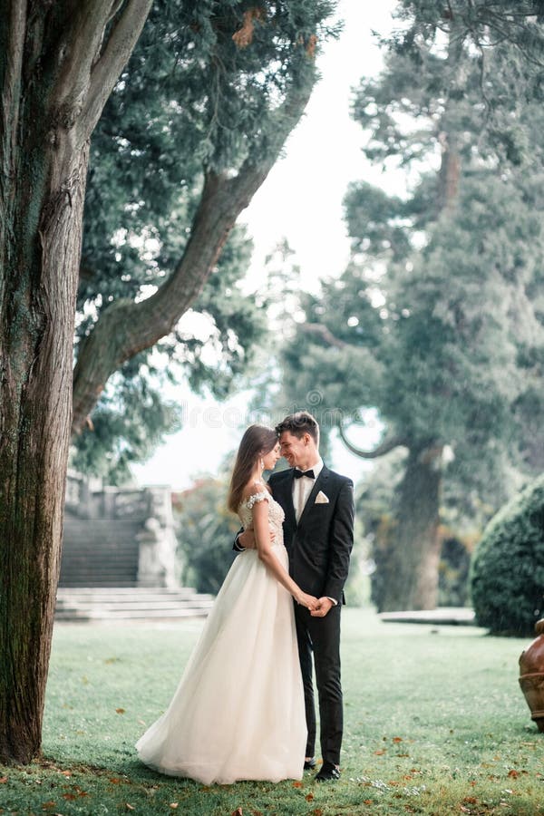 Hochzeitspaare, die im Park im Regen küssen lizenzfreie stockfotos Hochzeitspaare, die im Park im Regen küssen lizenzfreie stockfotos
