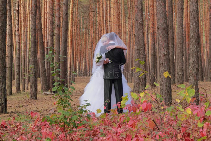 Married couple in a beautiful forest in autumn (fall) time. Married couple in a beautiful forest in autumn (fall) time