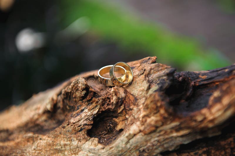 Hochzeitsringe als Symbol des glücklichen Lebens auf einem Baumstumpf stockfotografie Hochzeitsringe als Symbol des glücklichen Lebens auf einem Baumstumpf stockfotografie