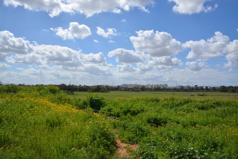 Hod Hasharon Park