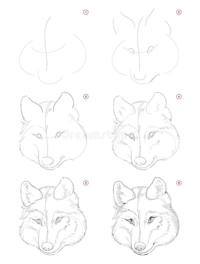 Hoe je schets maakt van denkbeeldige schattige wolvenkop Stapsgewijze punttekening van de aanmaak Onderwijs voor kunstenaars