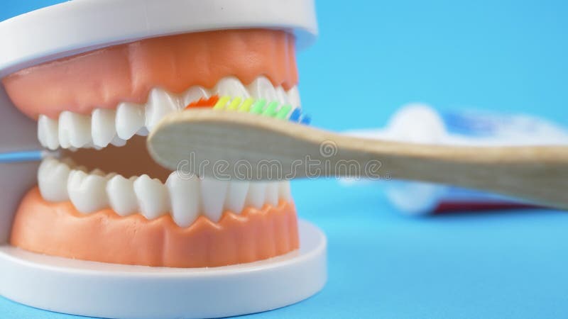 Hoe te het borstelen tanden door de tandenborstel van het regenboogbamboe