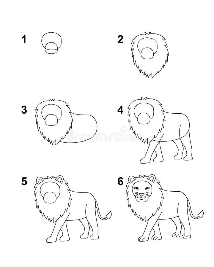 Hoe te om leeuw stap voor stap cartoon illustratie met witte achtergrond te trekken