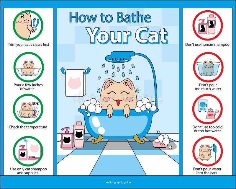 How to Bathe Your Cat vector graphics guide. How to Bathe Your Cat vector graphics guide