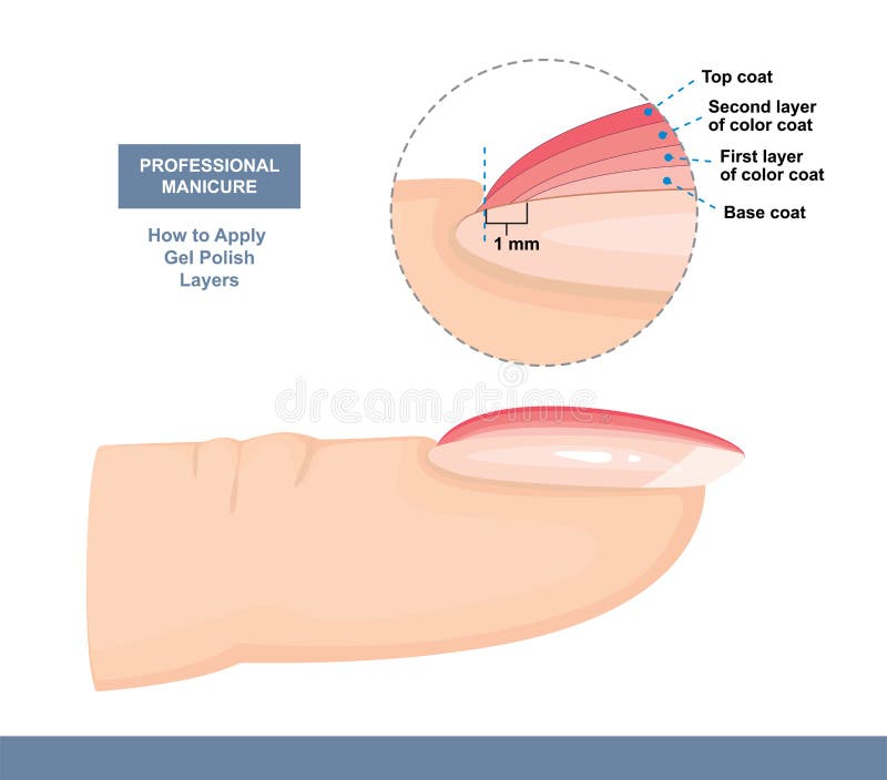 How to Properly Apply Gel Polish. Correct Layer Order. Professional Manicure Tutorial. Vector illustration. How to Properly Apply Gel Polish. Correct Layer Order. Professional Manicure Tutorial. Vector illustration