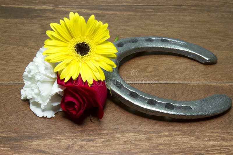 Hoef op Hout met Drie Bloemen van de Drievoudige Kroon royalty-vrije stock foto's Hoef op Hout met Drie Bloemen van de Drievoudige Kroon royalty-vrije stock foto's