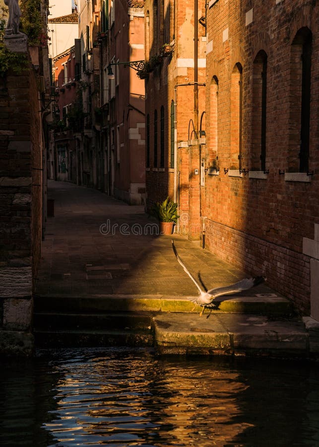 High Contrast Lighting Photo of a charming Narrow Street and Canal in Venice, Italy. High Contrast Lighting Photo of a charming Narrow Street and Canal in Venice, Italy