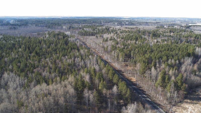 Hoge luchthommelmening van een spoorweg over de de lente bos Landelijke plaatsen stock foto's Hoge luchthommelmening van een spoorweg over de de lente bos Landelijke plaatsen stock foto's