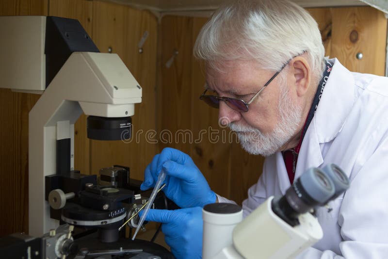 Hogere mannelijke onderzoeker die wetenschappelijk onderzoek naar een laboratorium uitvoeren stock afbeelding Hogere mannelijke onderzoeker die wetenschappelijk onderzoek naar een laboratorium uitvoeren stock afbeelding