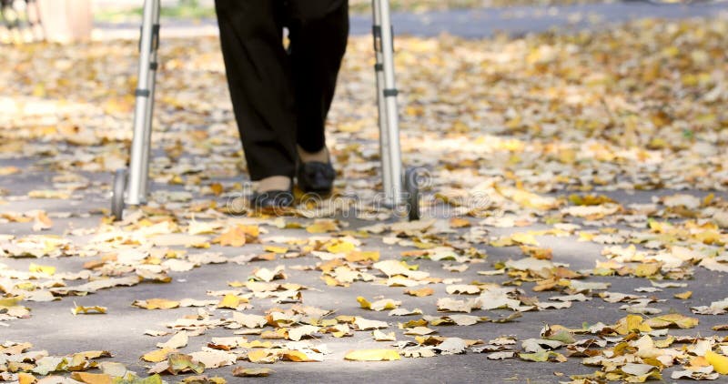 Hogere vrouwenbenen die met leurder in de herfstpark lopen