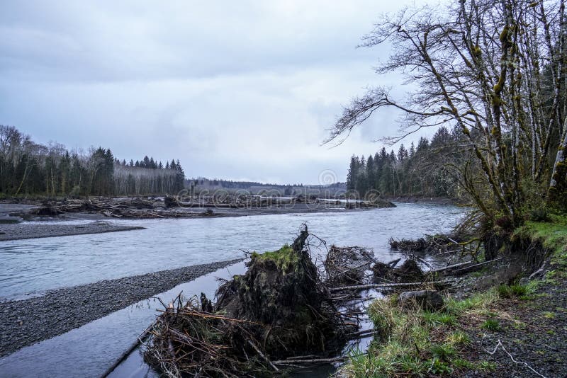 Hoh River In The Rain Forest Of Olympic Peninsula Washington Forks