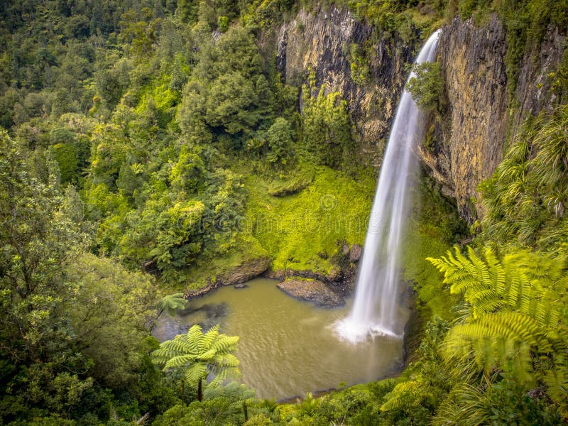 Hoher Dschungel-Wasserfall im üppigen Regen-Wald stockfotos Hoher Dschungel-Wasserfall im üppigen Regen-Wald stockfotos