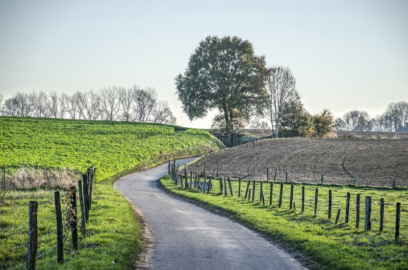 Hohlweg in einer hügeligen Landschaft stockbilder Hohlweg in einer hügeligen Landschaft stockbilder
