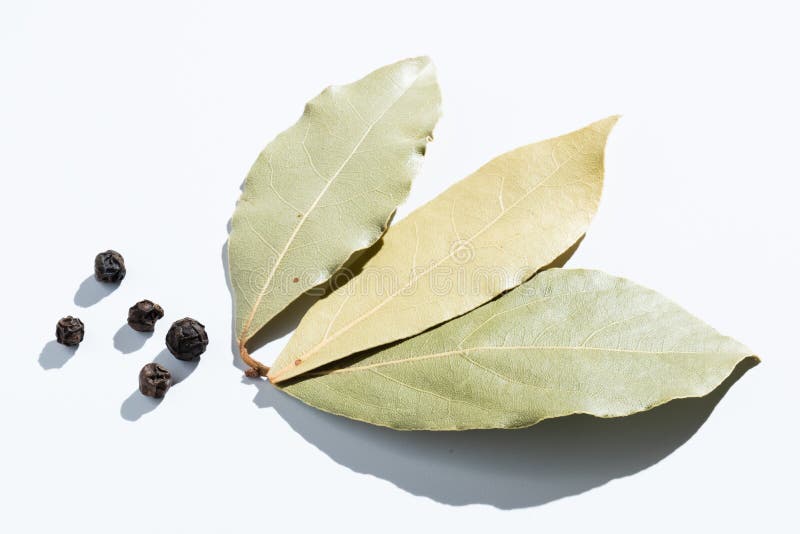 Hoja De Laurel Y Pimienta Negra Aisladas En Blanco Imagen de archivo