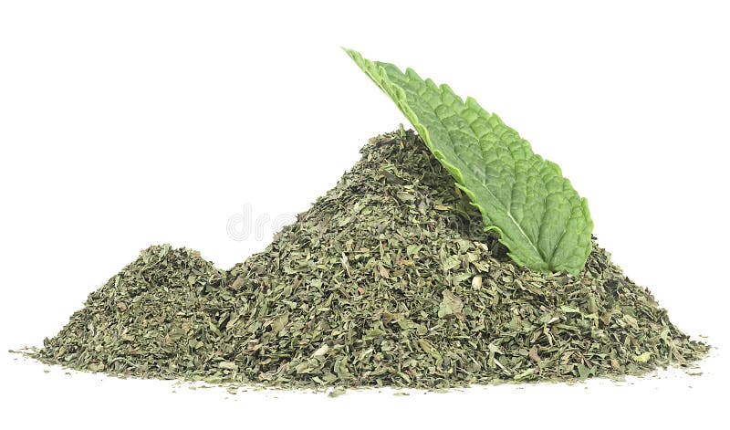 Hoja de menta fresca con pila de menta seca aislada en fondo blanco. té de hierbas fotografía de archivo libre de regalías