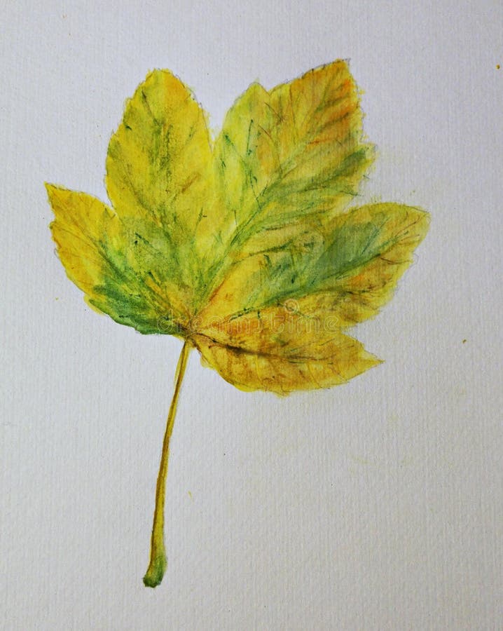 Hoja de otoño pintada - acuarela imágenes de archivo libres de regalías Hoja de otoño pintada - acuarela imágenes de archivo libres de regalías