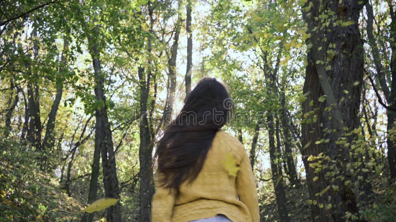 Hojas amarillas de otoño caen sobre una joven feliz en el bosque mujer activa de ocio en un parque con árboles dorados