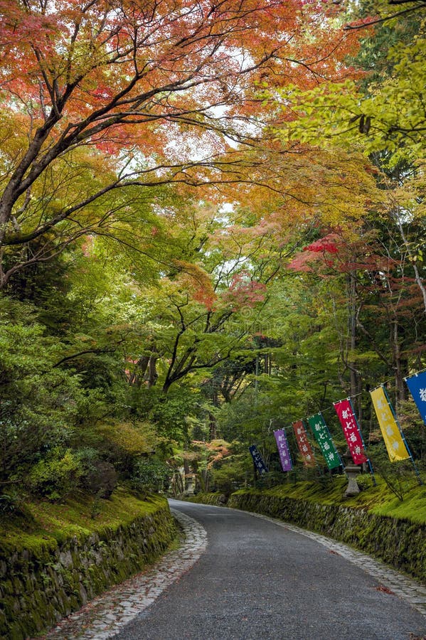 Hojas coloridas en jardín japonés en Kyoto durante otoño foto de archivo libre de regalías Hojas coloridas en jardín japonés en Kyoto durante otoño foto de archivo libre de regalías
