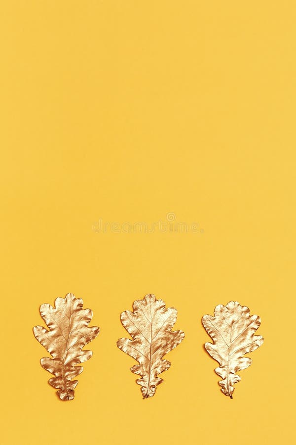 Hojas de herbario pintadas de oro creativas de robles. concepto de temporada de otoño. otoño de oro. planta de decoración en amari fotos de archivo libres de regalías