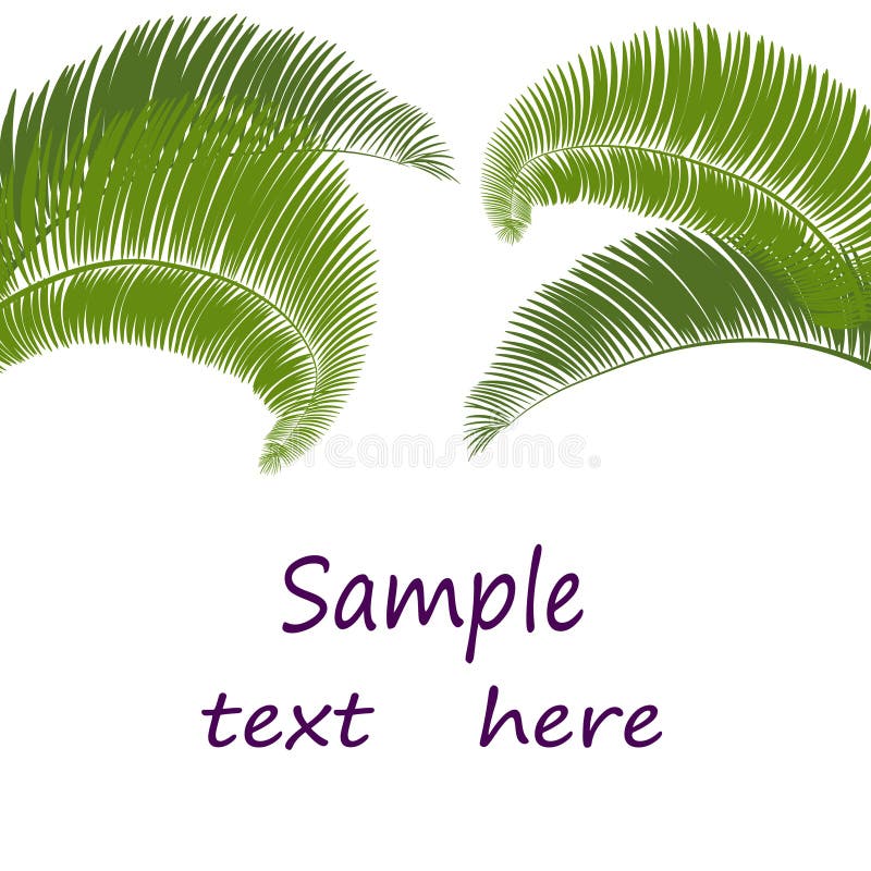 Hojas de la palmera en el fondo blanco Ilustración stock de ilustración Hojas de la palmera en el fondo blanco Ilustración stock de ilustración
