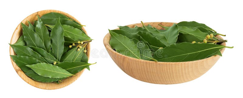 Hojas de Laurel frescas en tazón de madera aislado sobre fondo blanco. Leyenda de la bahía verde. Vista superior. Plana. foto de archivo libre de regalías