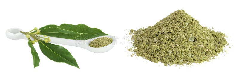 Hojas de Laurel frescas y molidas en cuchara de cerámica aisladas en fondo blanco. Leyenda de la bahía verde fotografía de archivo