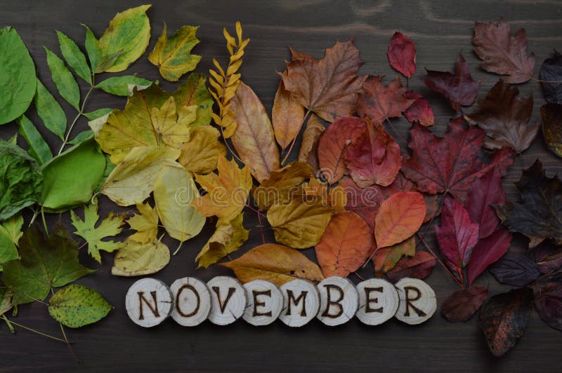 Hojas de otoño coloridas con la palabra NOVIEMBRE imagen de archivo libre de regalías Hojas de otoño coloridas con la palabra NOVIEMBRE imagen de archivo libre de regalías