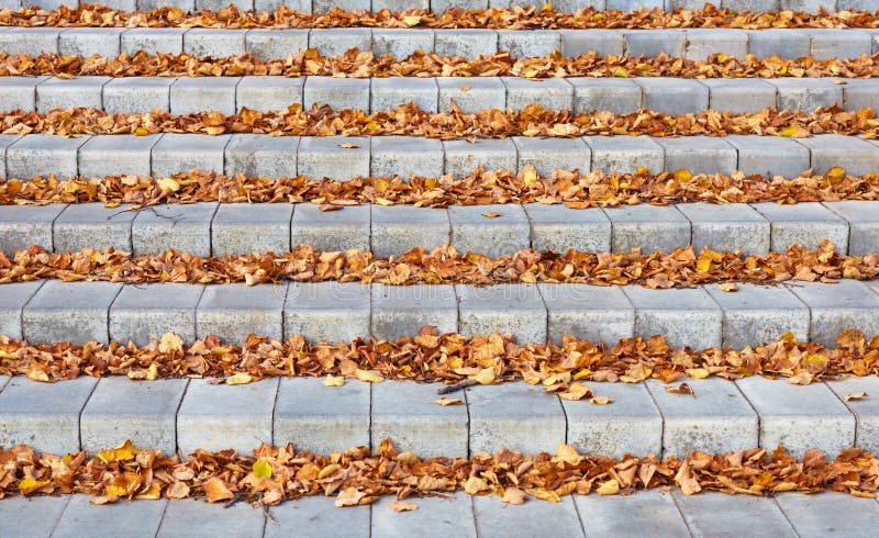 Hojas de otoño en las escaleras concretas foto de archivo Hojas de otoño en las escaleras concretas foto de archivo