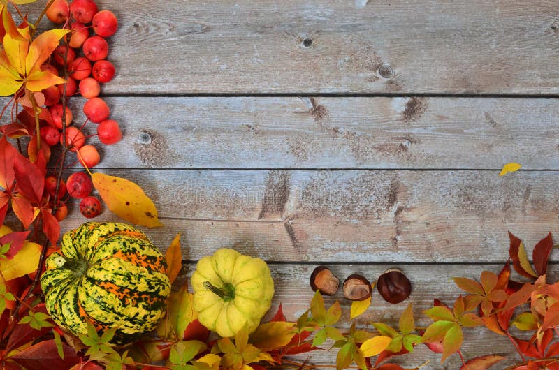 Hojas de otoño, frutas y verduras foto de archivo Hojas de otoño, frutas y verduras foto de archivo