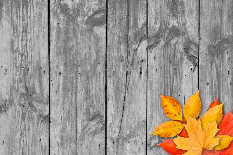 Hojas de otoño sobre fondo de madera. Copie el espacio. Hojas de otoño sobre fondo de madera. Copie el espacio.