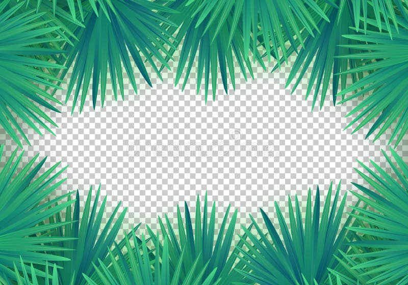 Hojas de palma del verano del vector en fondo transparente Marco tropical de moda libre illustration Hojas de palma del verano del vector en fondo transparente Marco tropical de moda libre illustration