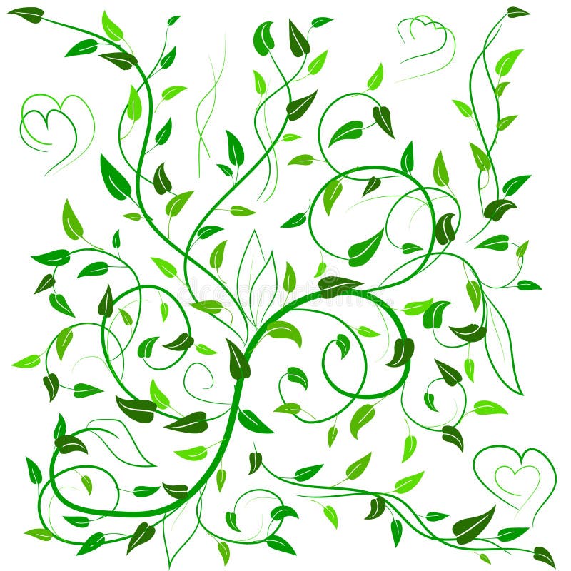 Hojas del verde con remolinos y corazón del extracto ilustración del vector Hojas del verde con remolinos y corazón del extracto ilustración del vector
