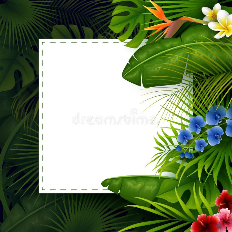 Hojas tropicales con el papel blanco del marco para el texto en fondo oscuro stock de ilustración Hojas tropicales con el papel blanco del marco para el texto en fondo oscuro stock de ilustración