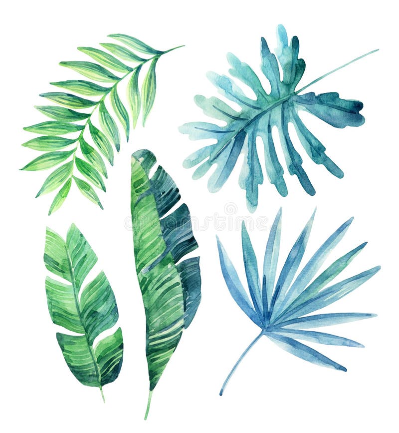 Hojas tropicales de la acuarela fijadas ilustración del vector Hojas tropicales de la acuarela fijadas ilustración del vector